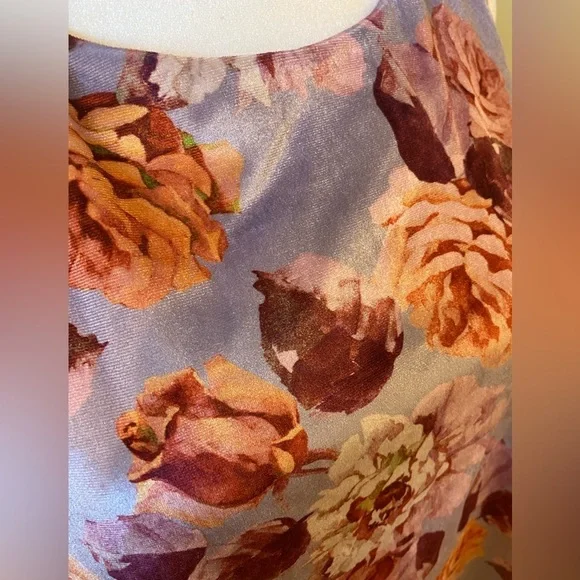 DG2 By Diane Gilman Velvet Blouse Size XS - Picture 4 of 9